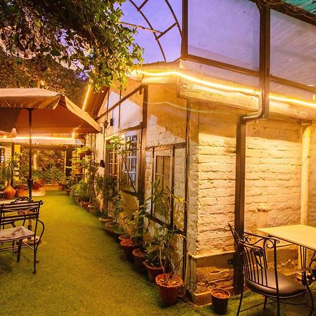 Treebo The Alpine Heritage Residency Shimla Bagian luar foto